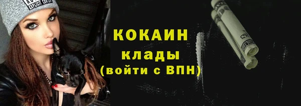 стаф Абинск