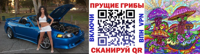 Галлюциногенные грибы Cubensis  Барнаул 
