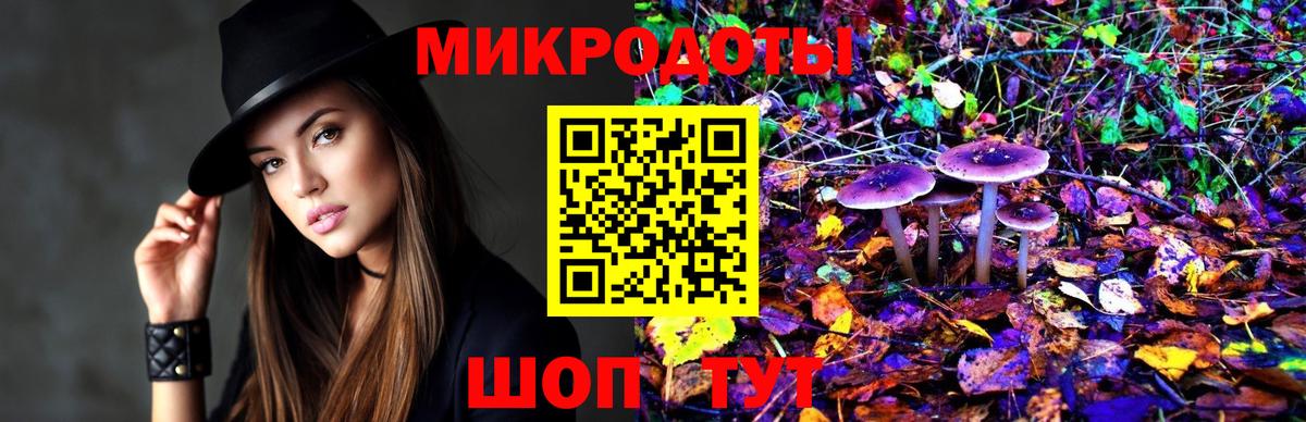 Галлюциногенные грибы Psilocybe  Галлюциногенные грибы мицелий  Барнаул  что такое   Вход с VPN 