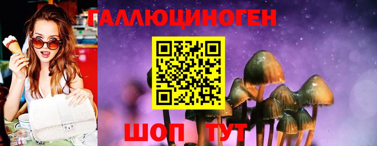 Псилоцибиновые грибы ЛСД Барнаул